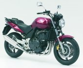 2006 Honda CBF 600 photo